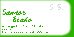 sandor blaho business card